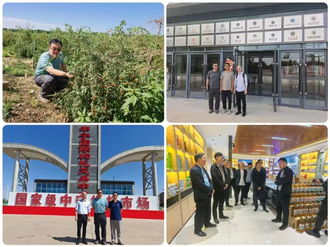 微松科技受聘为2026 浙江援青科技特派员，激活高原枸杞产业新发展
