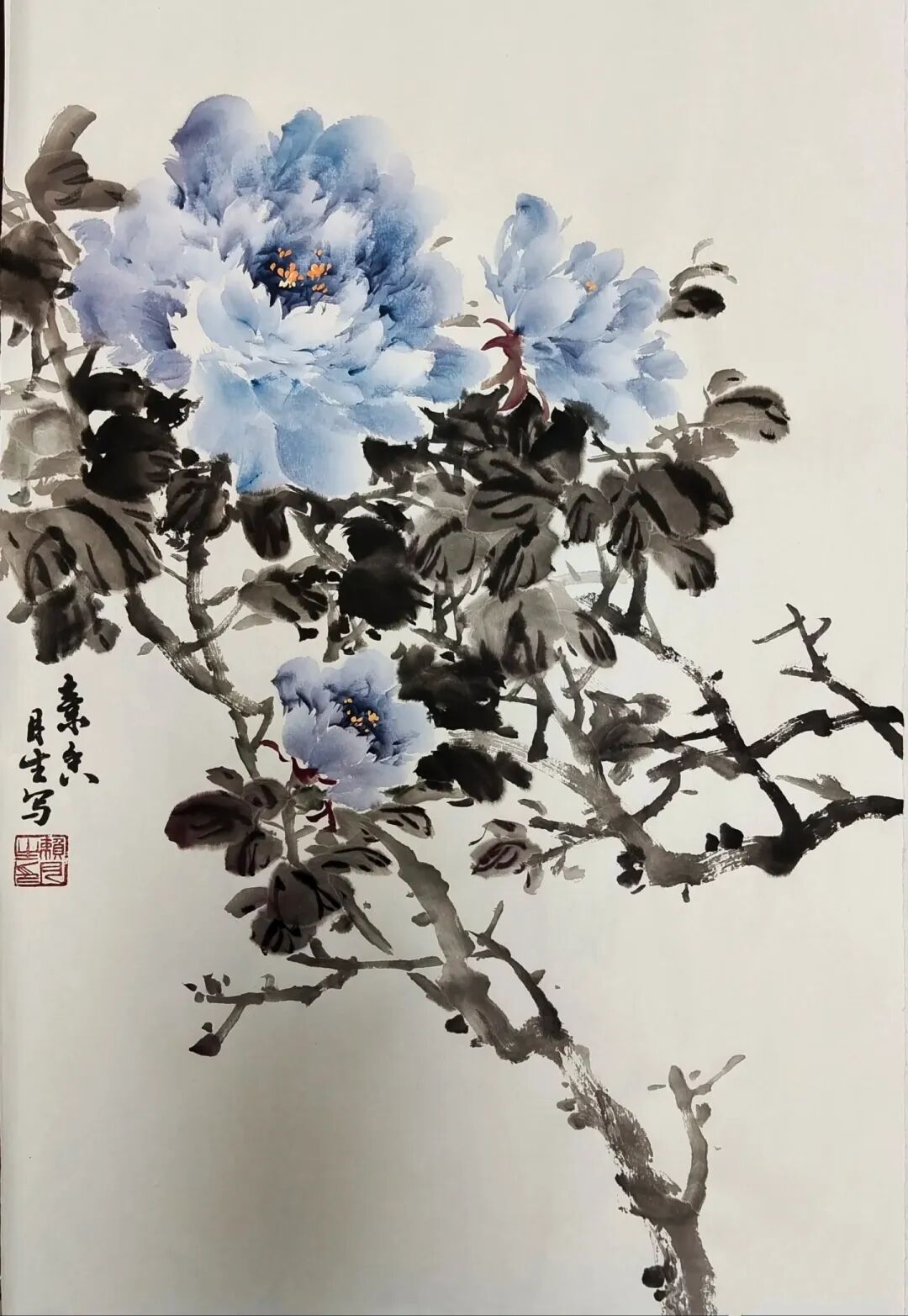 一组蓝牡丹作品欣赏