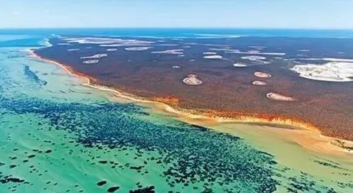 怎么制氧气【地理科普】会“呼吸”的石头：不输植物的制氧“高手”_https://www.jmylbn.com_新闻资讯_第6张