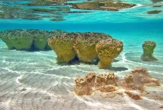 怎么制氧气【地理科普】会“呼吸”的石头：不输植物的制氧“高手”_https://www.jmylbn.com_新闻资讯_第5张