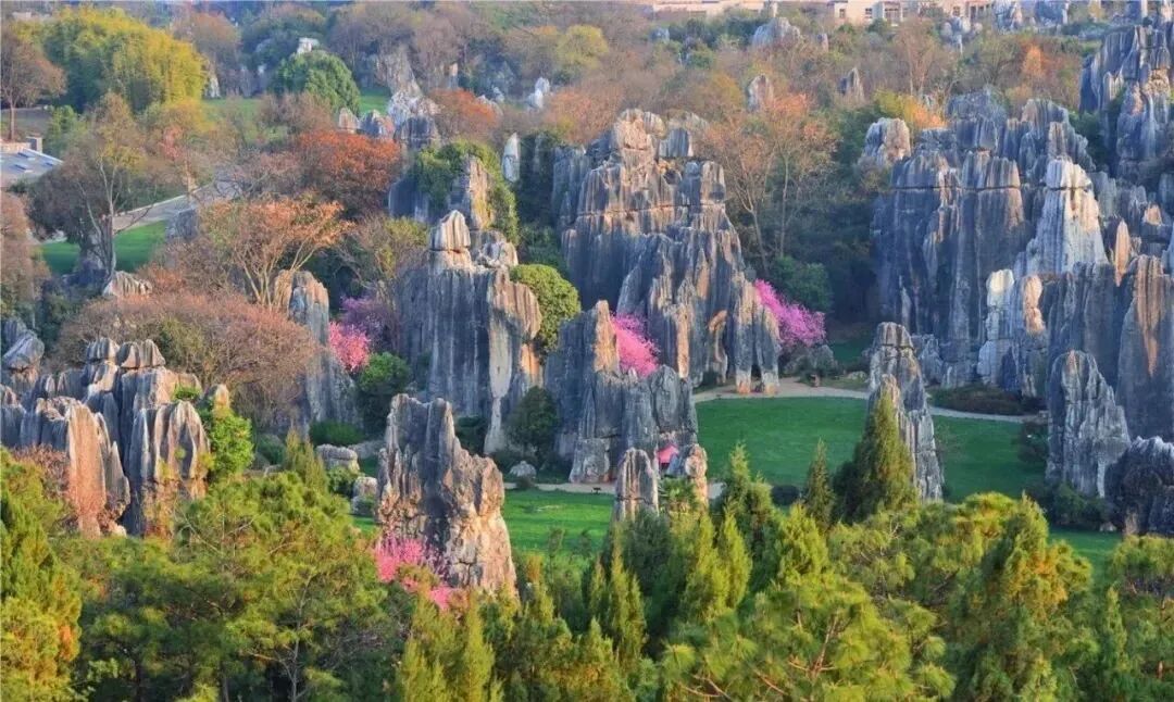 怎么制氧气【地理科普】会“呼吸”的石头：不输植物的制氧“高手”_https://www.jmylbn.com_新闻资讯_第2张