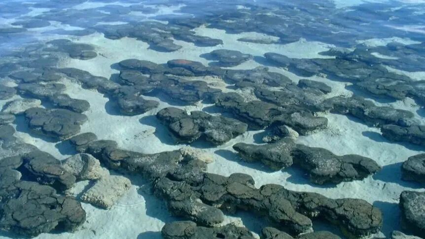 怎么制氧气【地理科普】会“呼吸”的石头：不输植物的制氧“高手”_https://www.jmylbn.com_新闻资讯_第4张