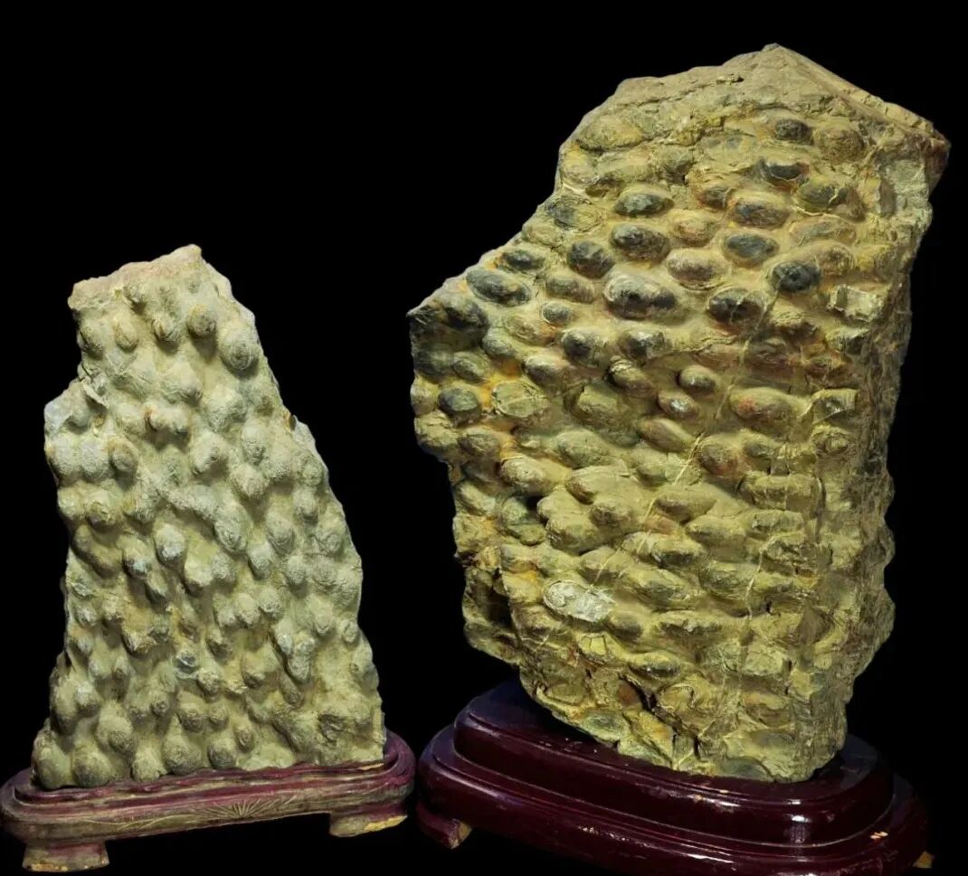 怎么制氧气【地理科普】会“呼吸”的石头：不输植物的制氧“高手”_https://www.jmylbn.com_新闻资讯_第7张