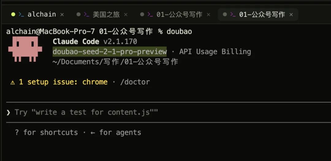 终端里doubao驱动Claude Code，自报模型名
