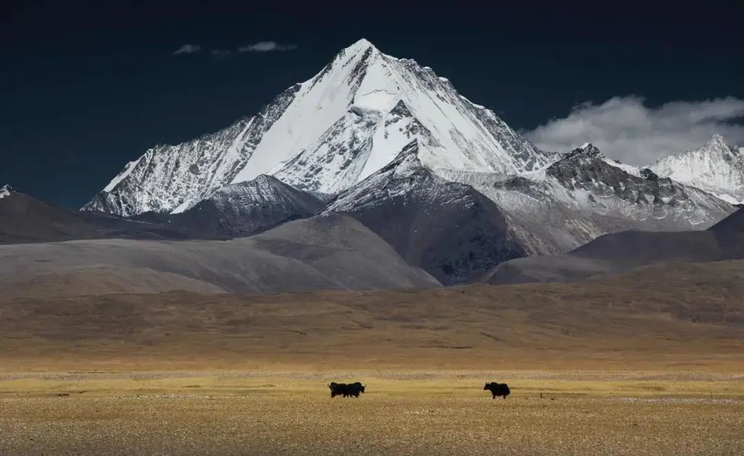 被遺忘的最高峰——岡底斯之王冷布崗日轉山實錄 旅遊 第20張