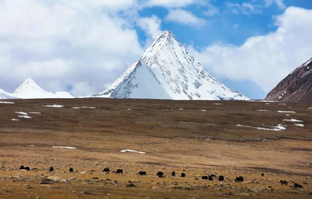 被遺忘的最高峰——岡底斯之王冷布崗日轉山實錄 旅遊 第27張