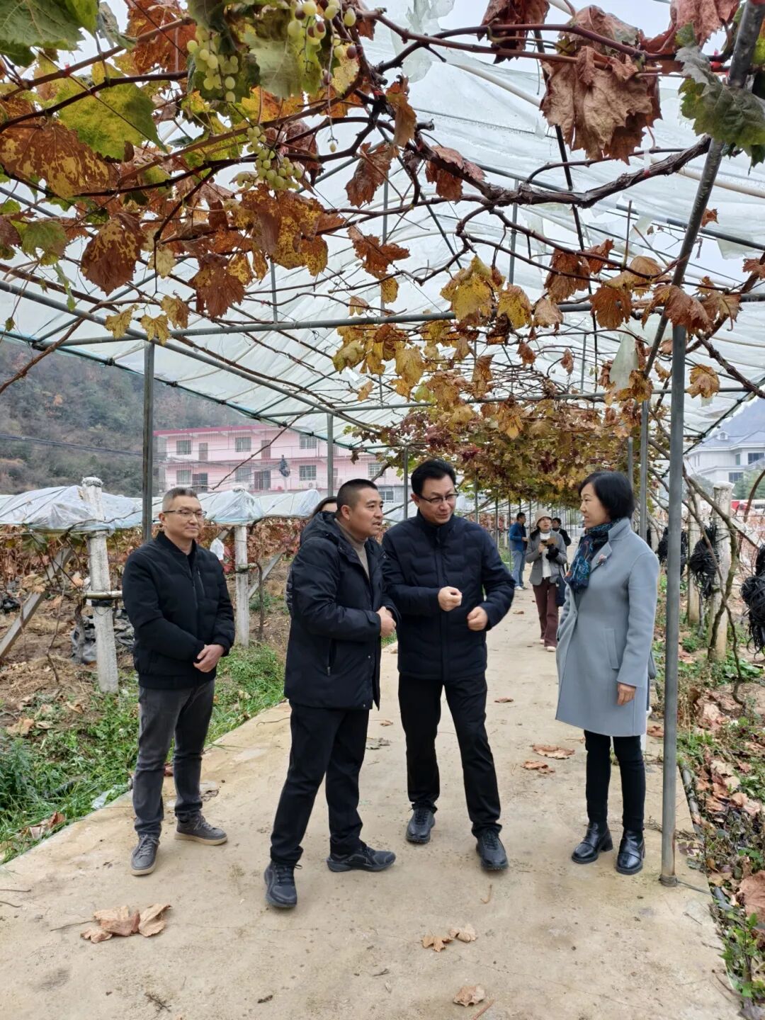 在畢節市七星關區鴨池鎮干龍灘社區調研.jpg