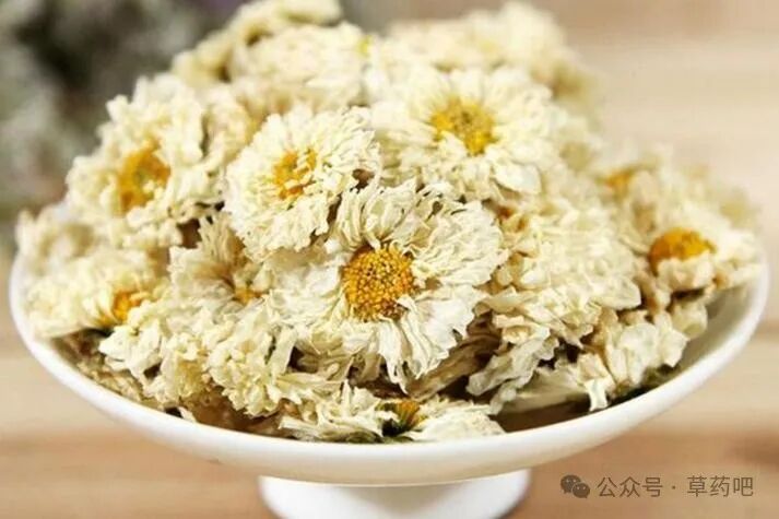 菊花的药用价值与功效(菊花的药用功效