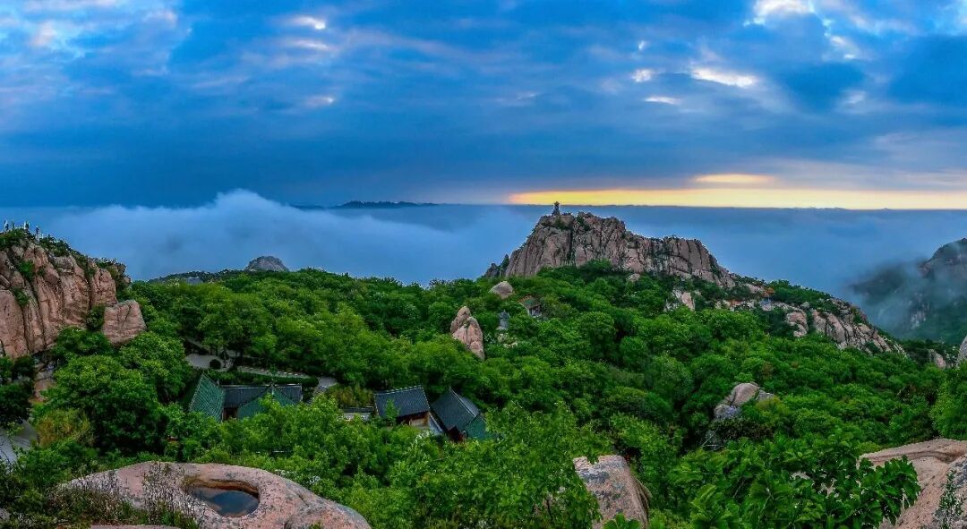 Pasted Graphic 7.jpg