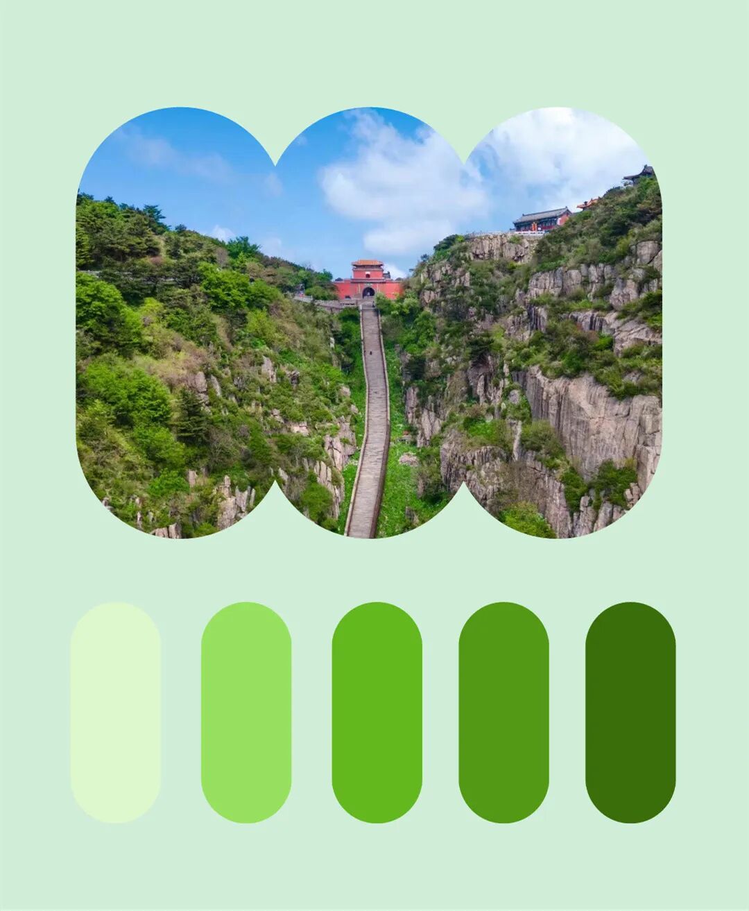 用色卡的方式打开春日里的山东