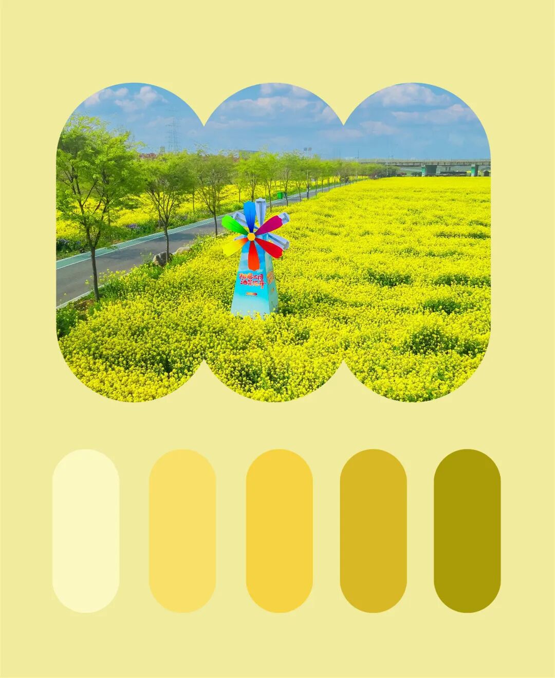 用色卡的方式打开春日里的山东