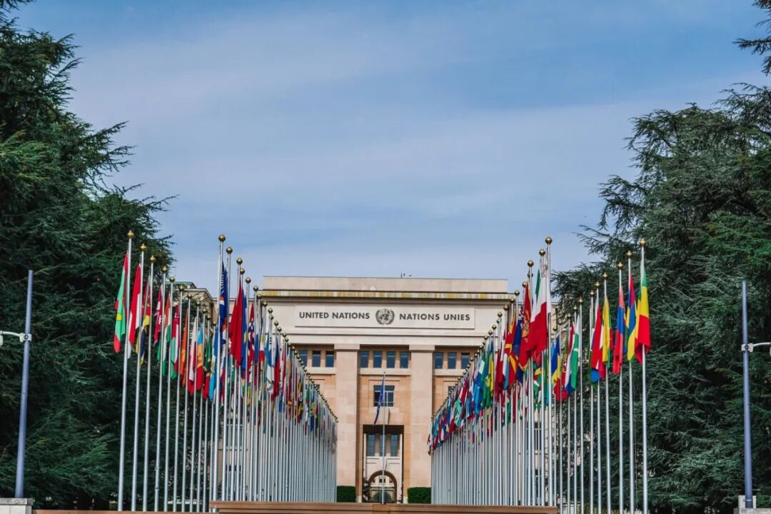 摄图网_501391143_瑞士日内瓦联合国万国旗全景(企业商用).jpg
