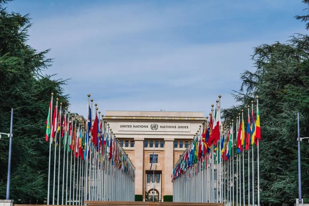 摄图网_501391143_瑞士日内瓦联合国万国旗全景（企业商用）.jpg