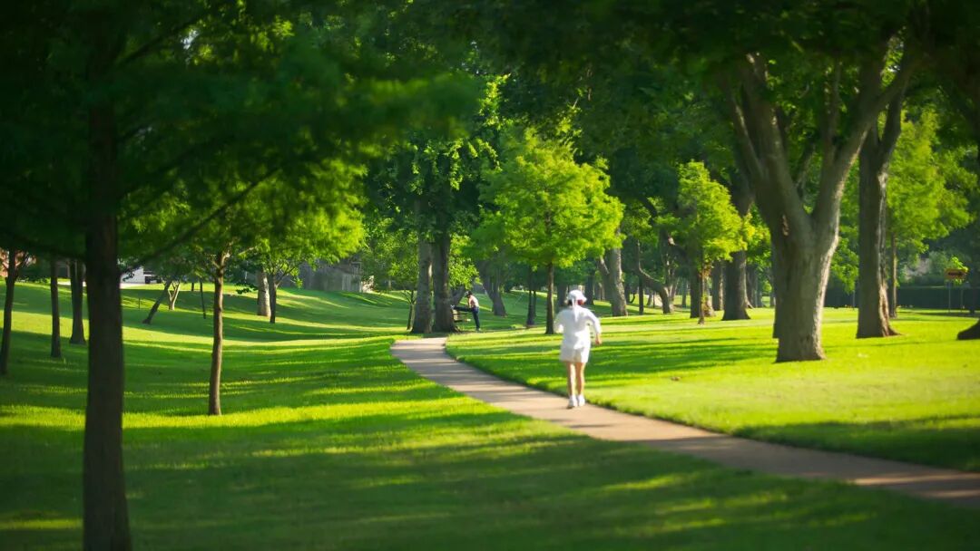 南沙深业颐泽府住宅 99~133㎡三*四房 ，商墅133-279㎡！