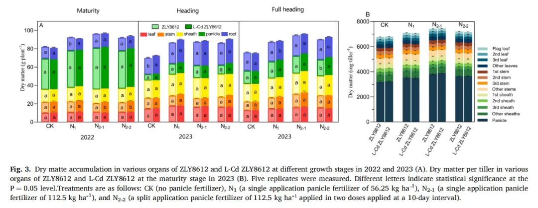 LI-6800應(yīng)用案例|【Field Crops Res.】鎘低積累水稻品種的氮吸收、光合作用及產(chǎn)量穩(wěn)定性評估