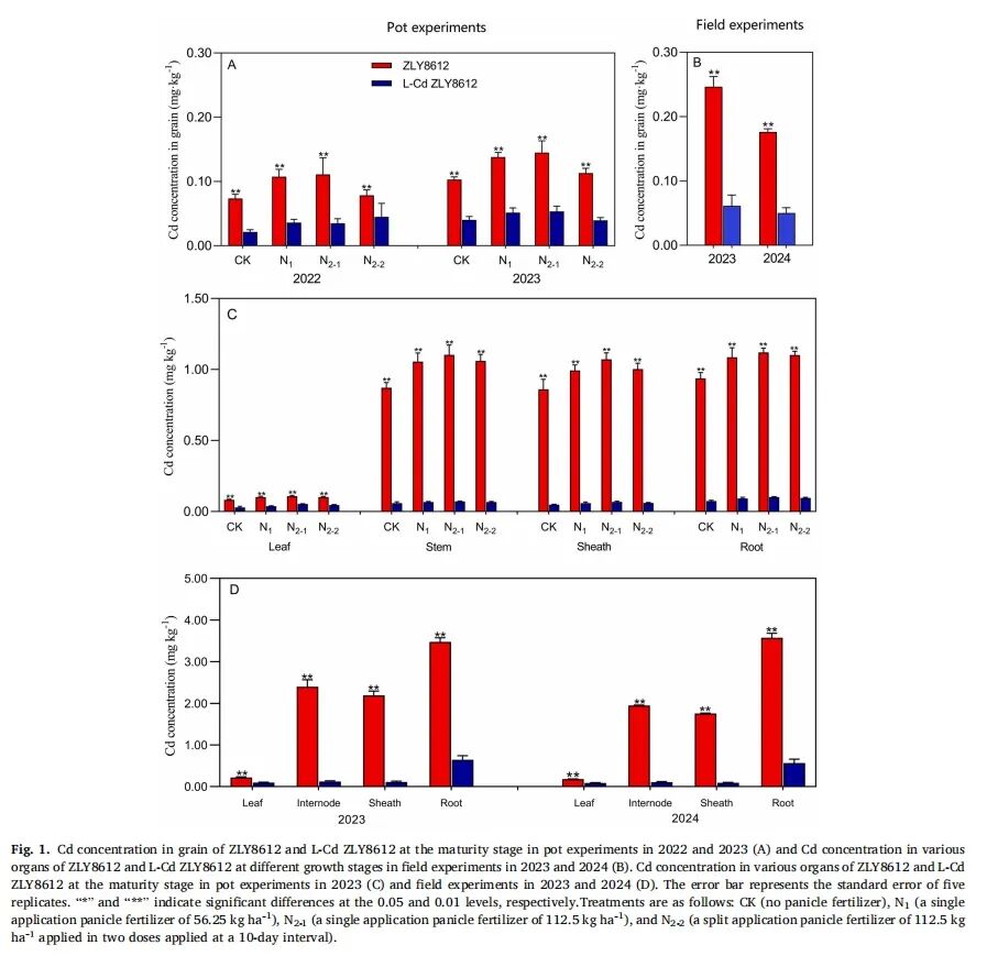 LI-6800應(yīng)用案例|【Field Crops Res.】鎘低積累水稻品種的氮吸收、光合作用及產(chǎn)量穩(wěn)定性評估