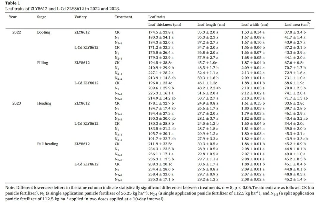 LI-6800應(yīng)用案例|【Field Crops Res.】鎘低積累水稻品種的氮吸收、光合作用及產(chǎn)量穩(wěn)定性評估