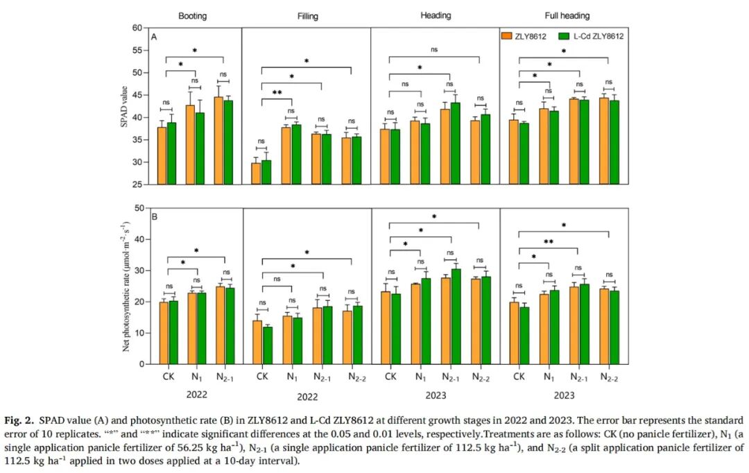 LI-6800應(yīng)用案例|【Field Crops Res.】鎘低積累水稻品種的氮吸收、光合作用及產(chǎn)量穩(wěn)定性評估