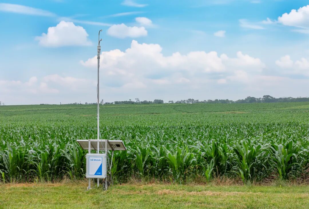 會(huì)議預(yù)告 | 北京萊闊助力光合高效研究 ——2025年光合作用生理生態(tài)研討會(huì)暨光合作用研究技術(shù)暑期學(xué)校（7月20-26日）
