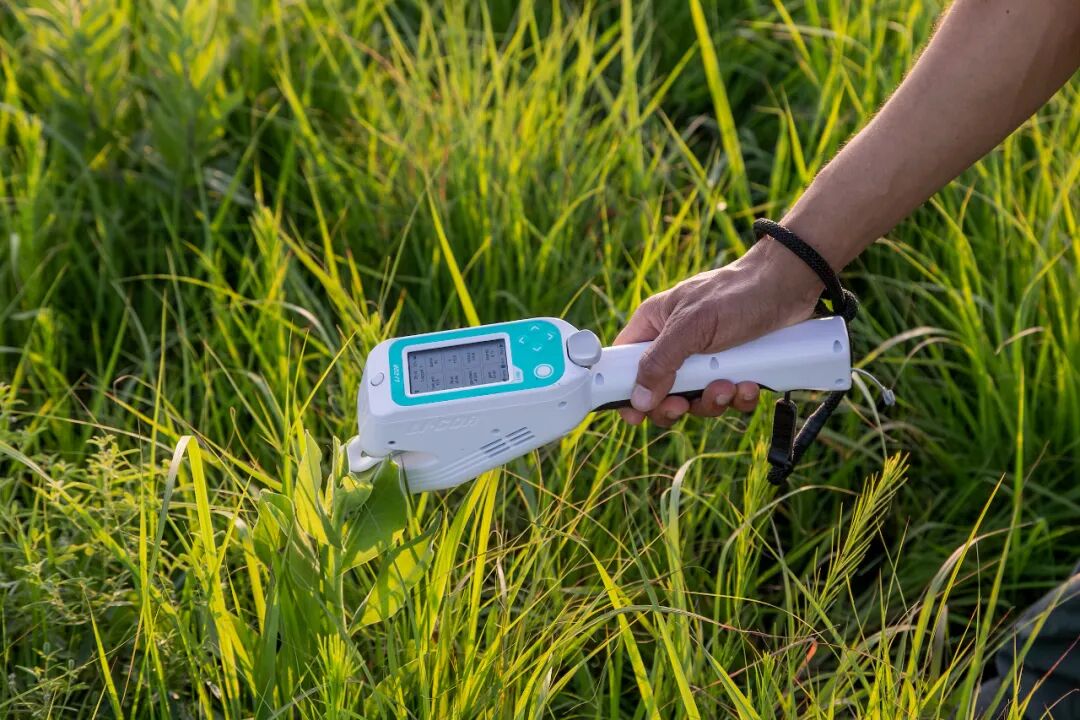 會(huì)議預(yù)告 | 北京萊闊助力光合高效研究 ——2025年光合作用生理生態(tài)研討會(huì)暨光合作用研究技術(shù)暑期學(xué)校（7月20-26日）