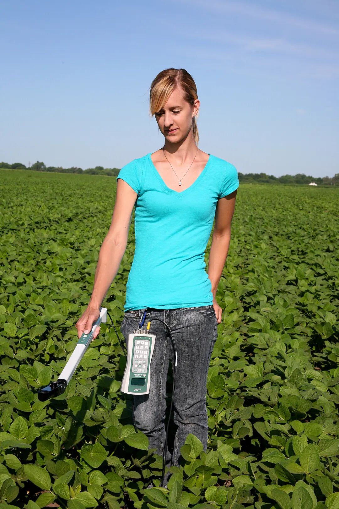 會(huì)議預(yù)告 | 北京萊闊助力光合高效研究 ——2025年光合作用生理生態(tài)研討會(huì)暨光合作用研究技術(shù)暑期學(xué)校（7月20-26日）