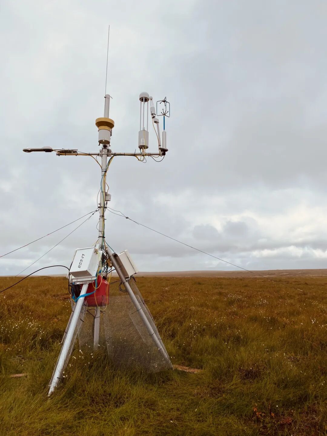 LI-COR與您相約AGU 2024年會（美國華盛頓D.C.，2024年12月9日至13日）