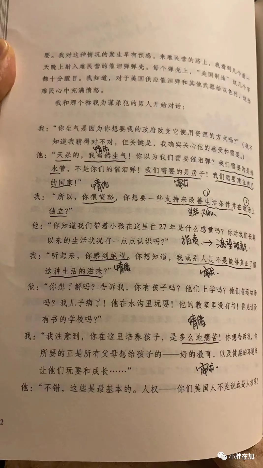 深国交家长悦读社：冬至时节，暖阳小院，不如读书  深国交 学在国交 深圳国际交流学院 第3张