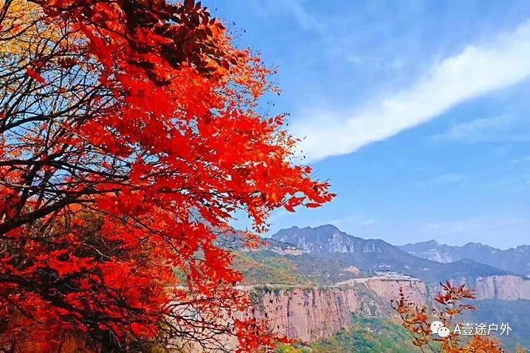 集合点超时的意思_集合的时间已经过了_集合点超时的意思是