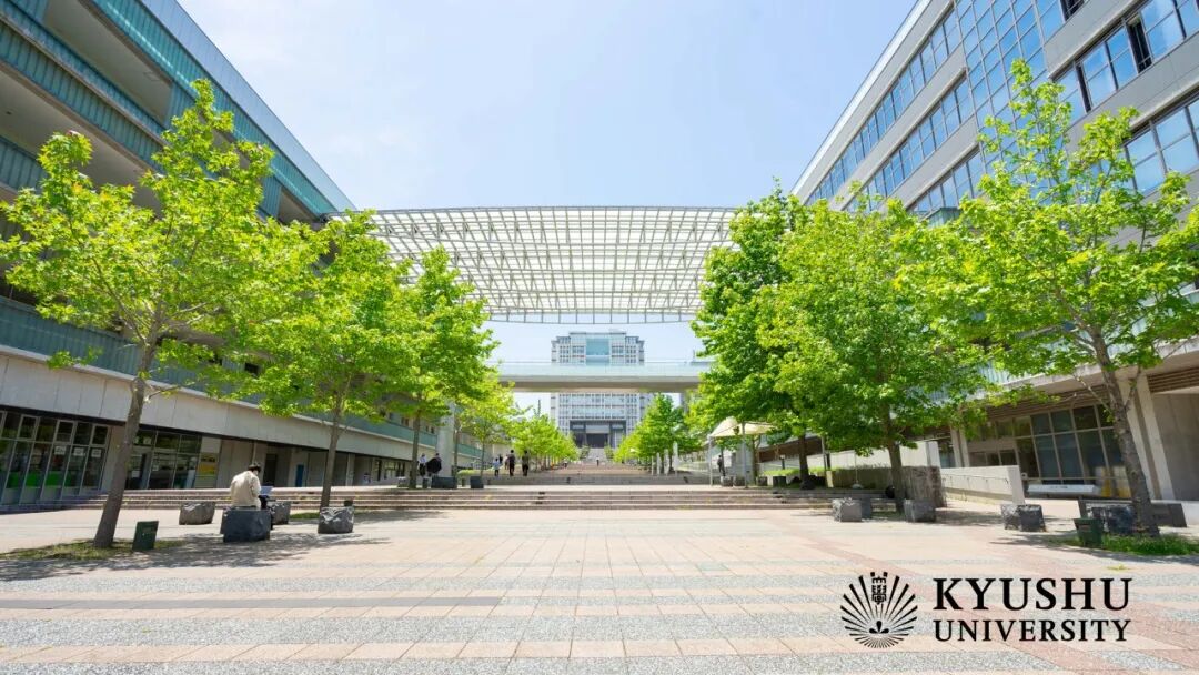 SGU本科项目｜日本7所大学的本科英文课程汇总(图6)