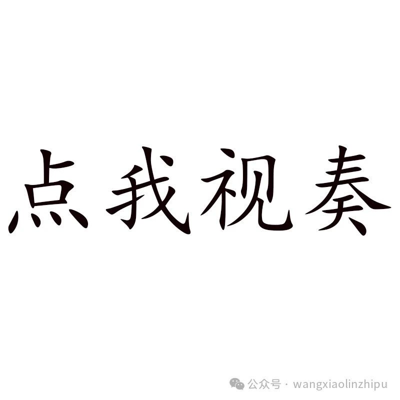名侦探柯南/爱内里菜/三枝夕夏《跨越七海的风》王小林制谱 独奏谱 伴奏音频 25-004