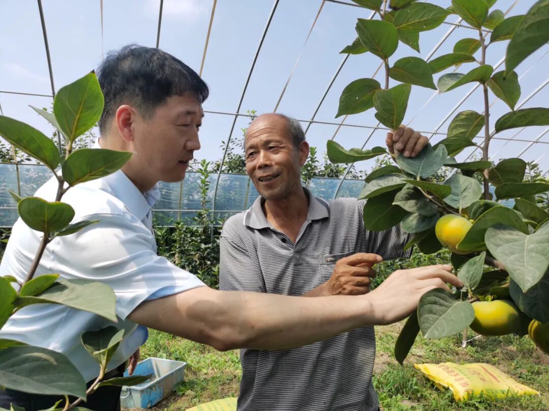 运城农信社开展百亿资金行动探索服务高柿糠⒄沟母嘈驴赡