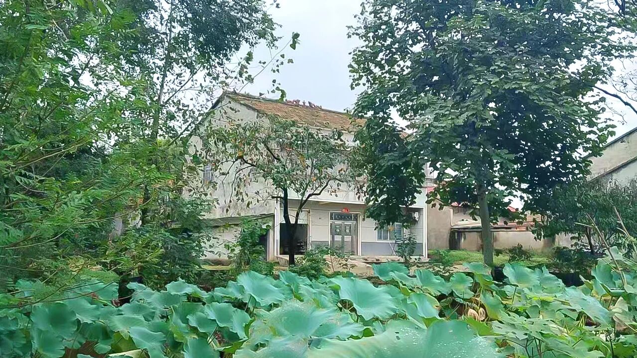 《九州风雅颂》祖碑研究之六 修德正家敬业，汲古润后人（3） ——刘湾杨氏宗亲现代奋进的故事（守土固本（图3）