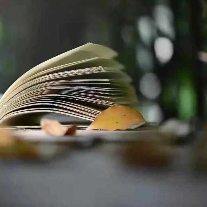 【青春语文·胡盼专栏】慢下来，快步走（作文分析及下水文）