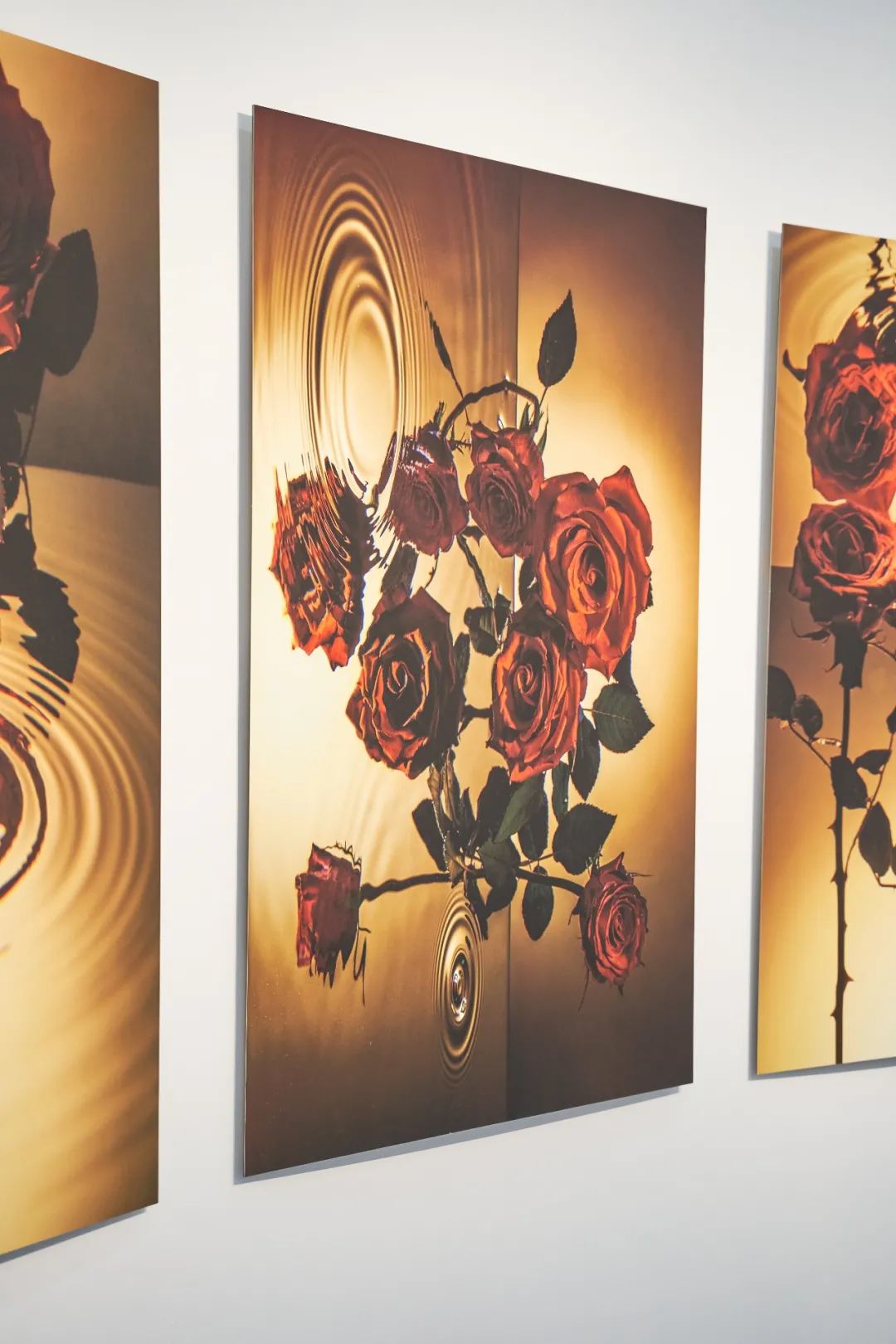 艺术展览_展览艺术品_展览艺术家