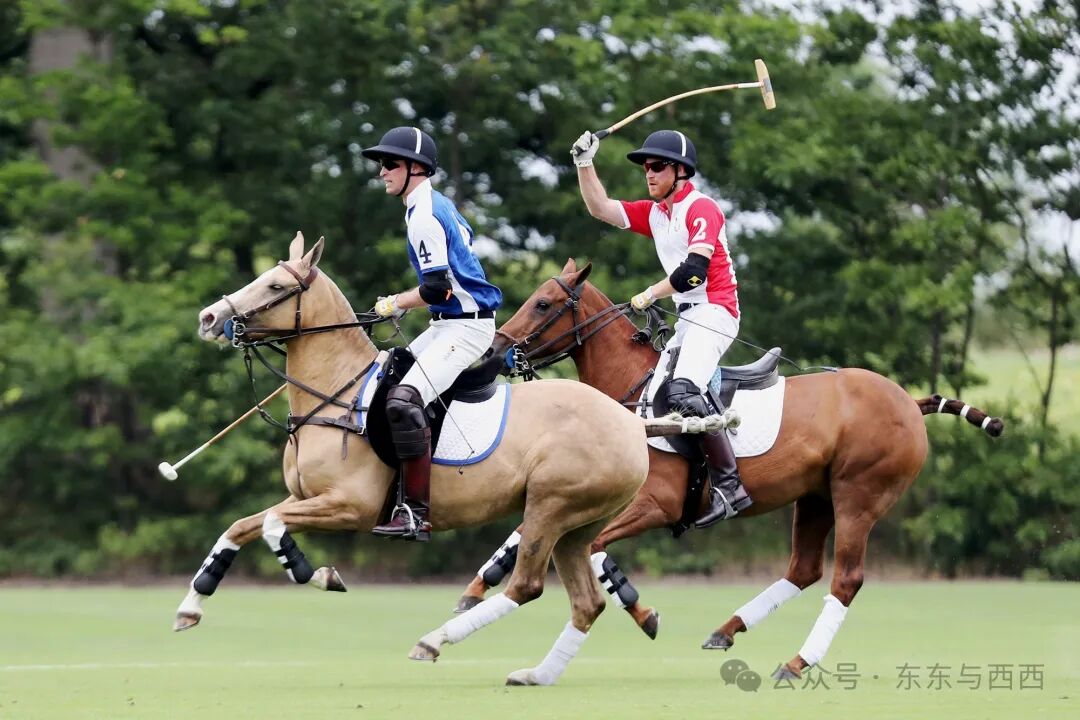 马术 骑马 赛马 1080_720