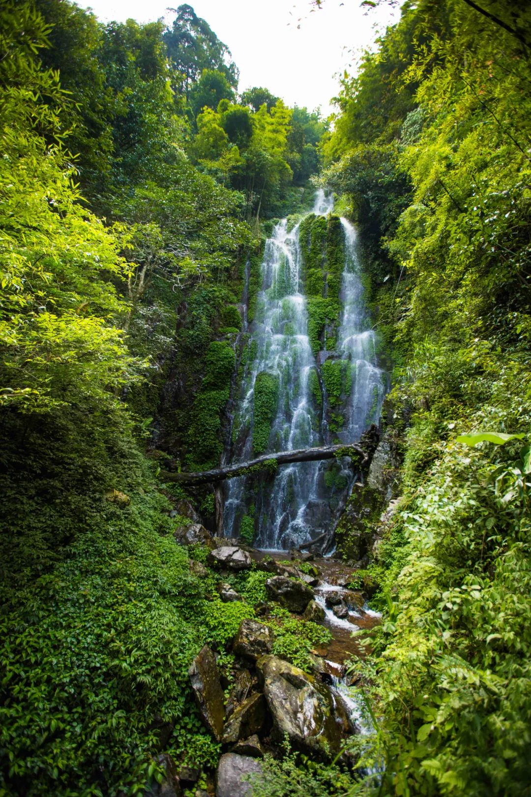 广西金秀旅游景点大全图片