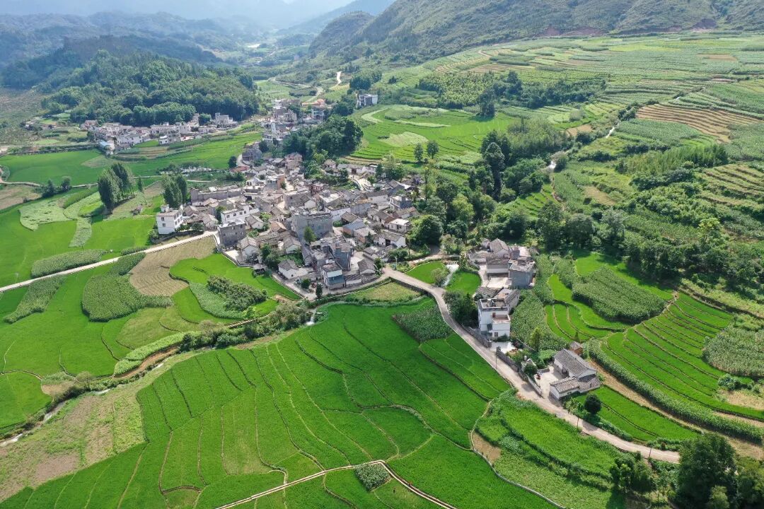 曲靖罗平发展庭院经济让院景变钱景