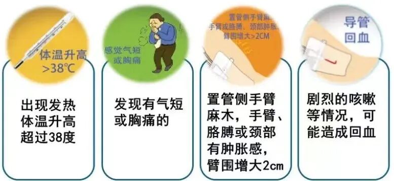 picc导管是什么材质【健康科普】PICC 护理——为＂生命导管＂护航！_https://www.jmylbn.com_新闻资讯_第14张