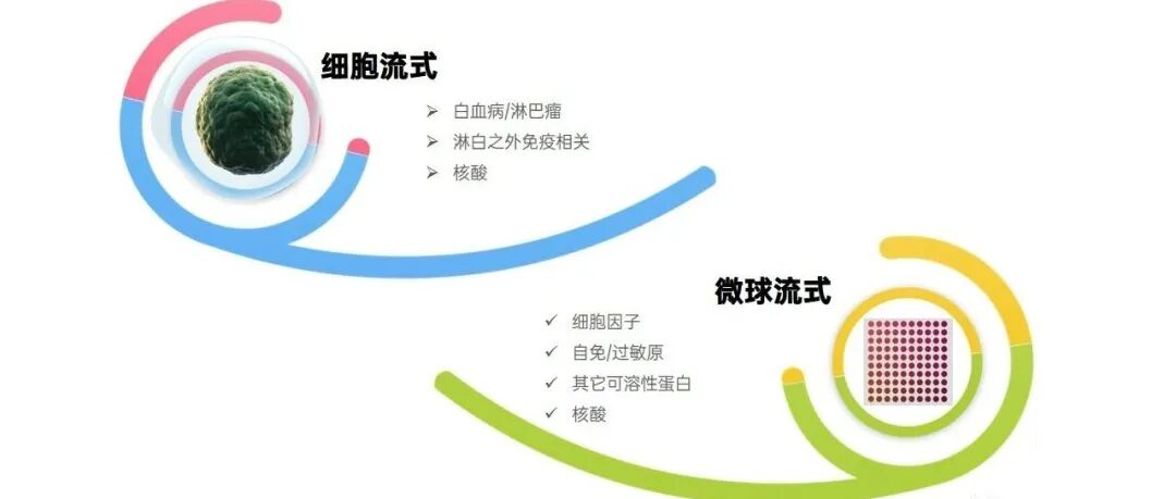 细胞仪品牌有哪些国内流式细胞仪制造商多乎哉？_https://www.jmylbn.com_新闻资讯_第22张