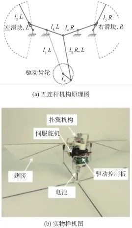 可悬停扑翼飞行器研究现状与关键技术的图6