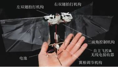 可悬停扑翼飞行器研究现状与关键技术的图1