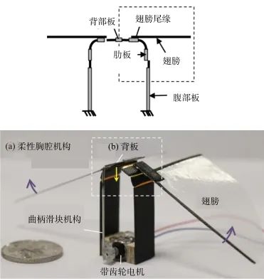 可悬停扑翼飞行器研究现状与关键技术的图13