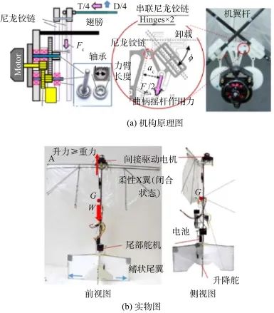 可悬停扑翼飞行器研究现状与关键技术的图2