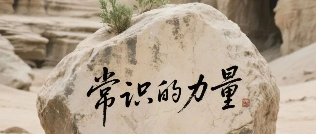 每周小结 47 | 常识的力量