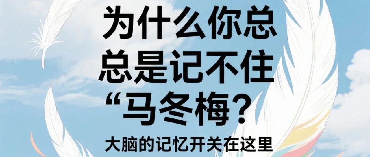 为什么你总是记不住"马冬梅"？大脑的记忆开关在这里