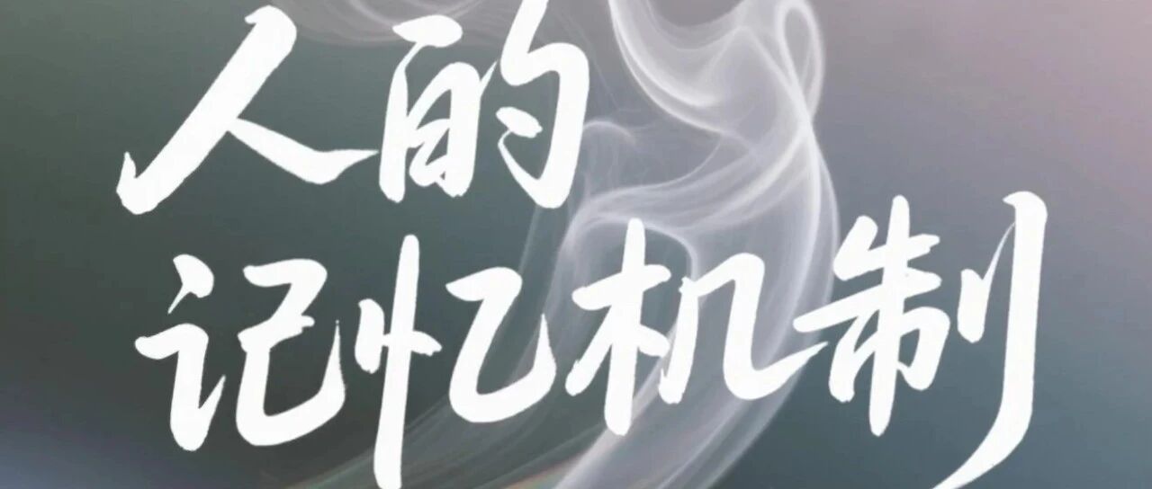 每周小结 36 | 人的记忆机制
