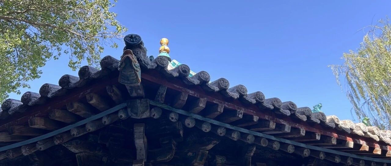 本周小结 | 停止空想，立即行动