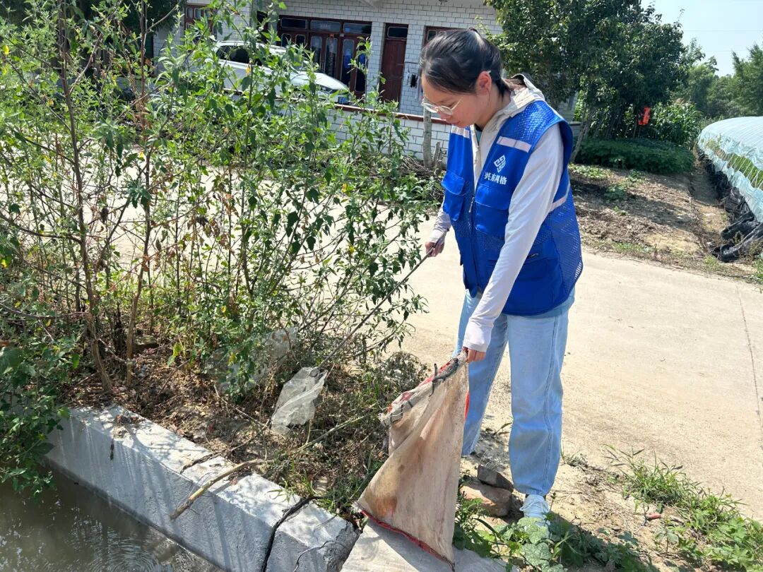 紫星村：“志愿红” “网格蓝” “环卫橙” 绘就美丽乡村新画卷
