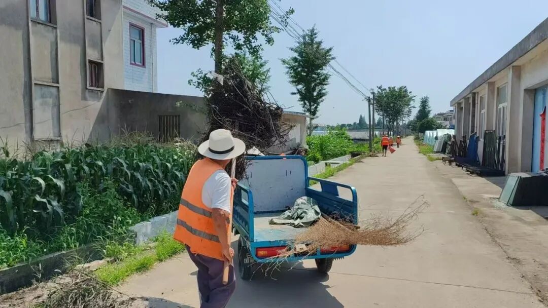 紫星村：“志愿红” “网格蓝” “环卫橙” 绘就美丽乡村新画卷