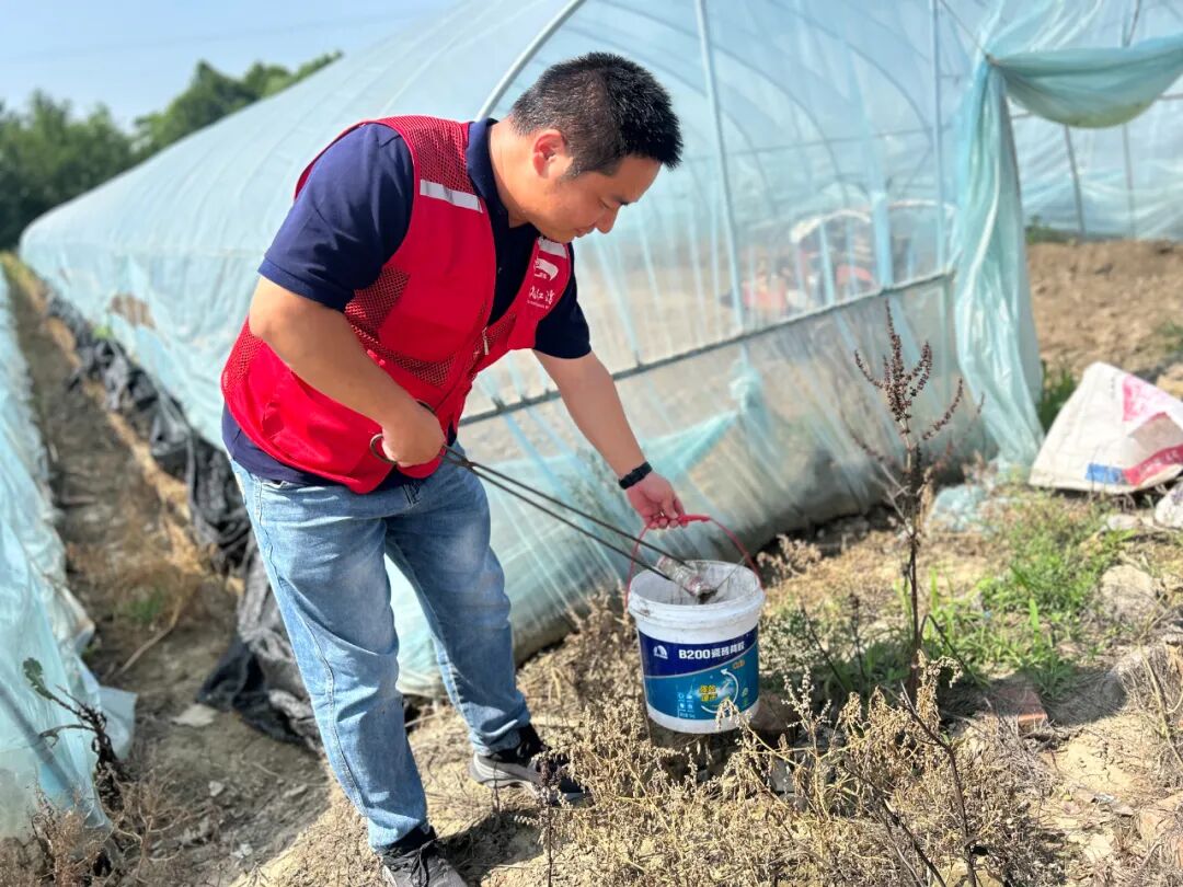 紫星村：“志愿红” “网格蓝” “环卫橙” 绘就美丽乡村新画卷